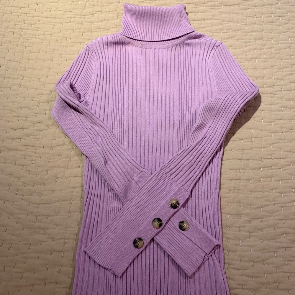 Anthropologie Ribbed Turtleneck Sweater